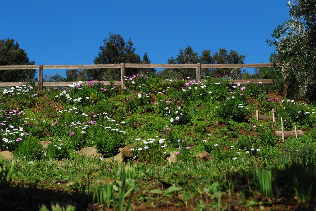 Agriturismo Val Di Nappo Castiglione della Pescaia Kültér fotó