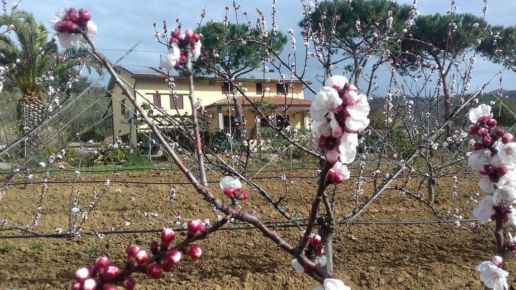 Agriturismo Val Di Nappo Castiglione della Pescaia Kültér fotó